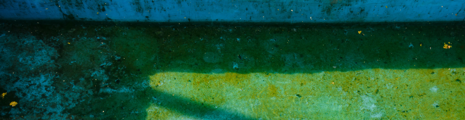 Por que a água da sua piscina está verde?